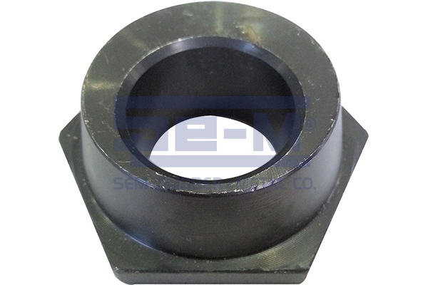 Bushing, leaf spring